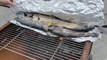 Vis op BBQ van Clementi